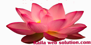 Kaila web solution Profile, Logo, Contact, Reviews