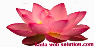 Kaila web solution Services, Profile, Reviews, Contact, Inquiry 