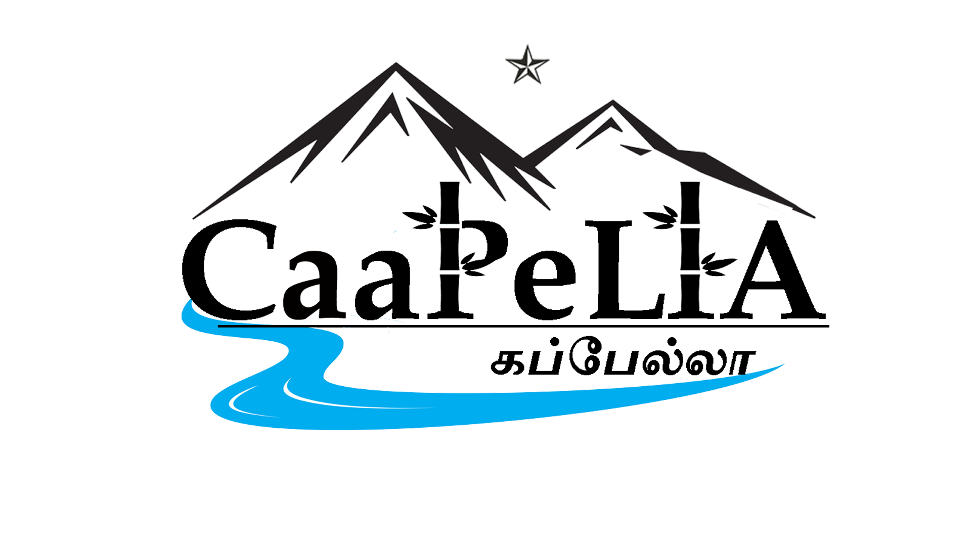 CAAPELLA MEDIA Profile, Logo, Contact, Reviews