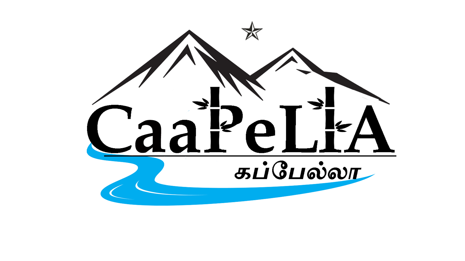 CAAPELLA MEDIA Reviews, Profile, Contact, Logo