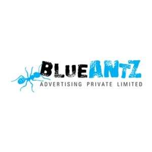 Bluant Digital Reviews, Profile, Contact